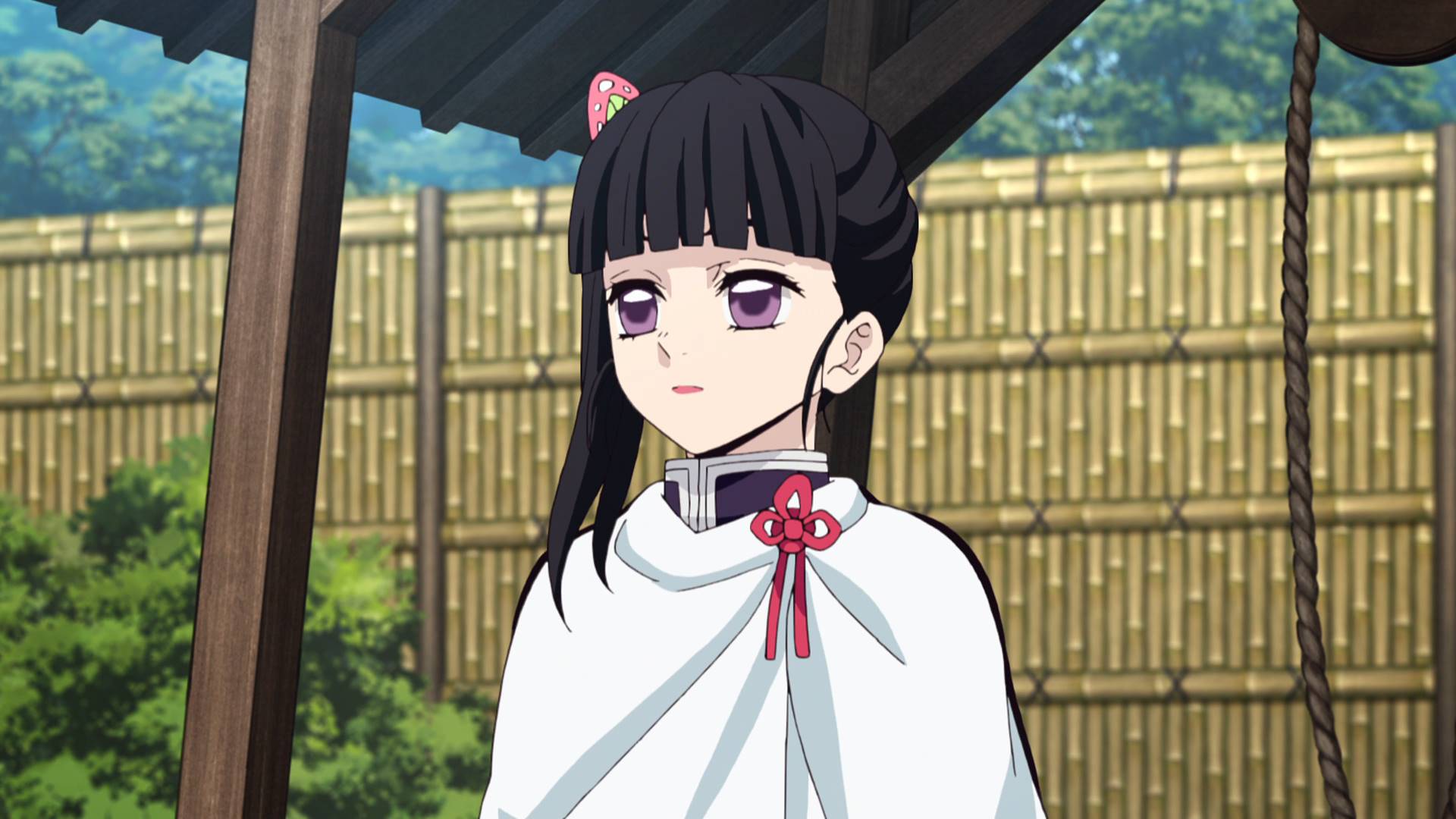 Kimetsu no Yaiba - Retorno de Kanao deixa fãs apaixonados - AnimeNew