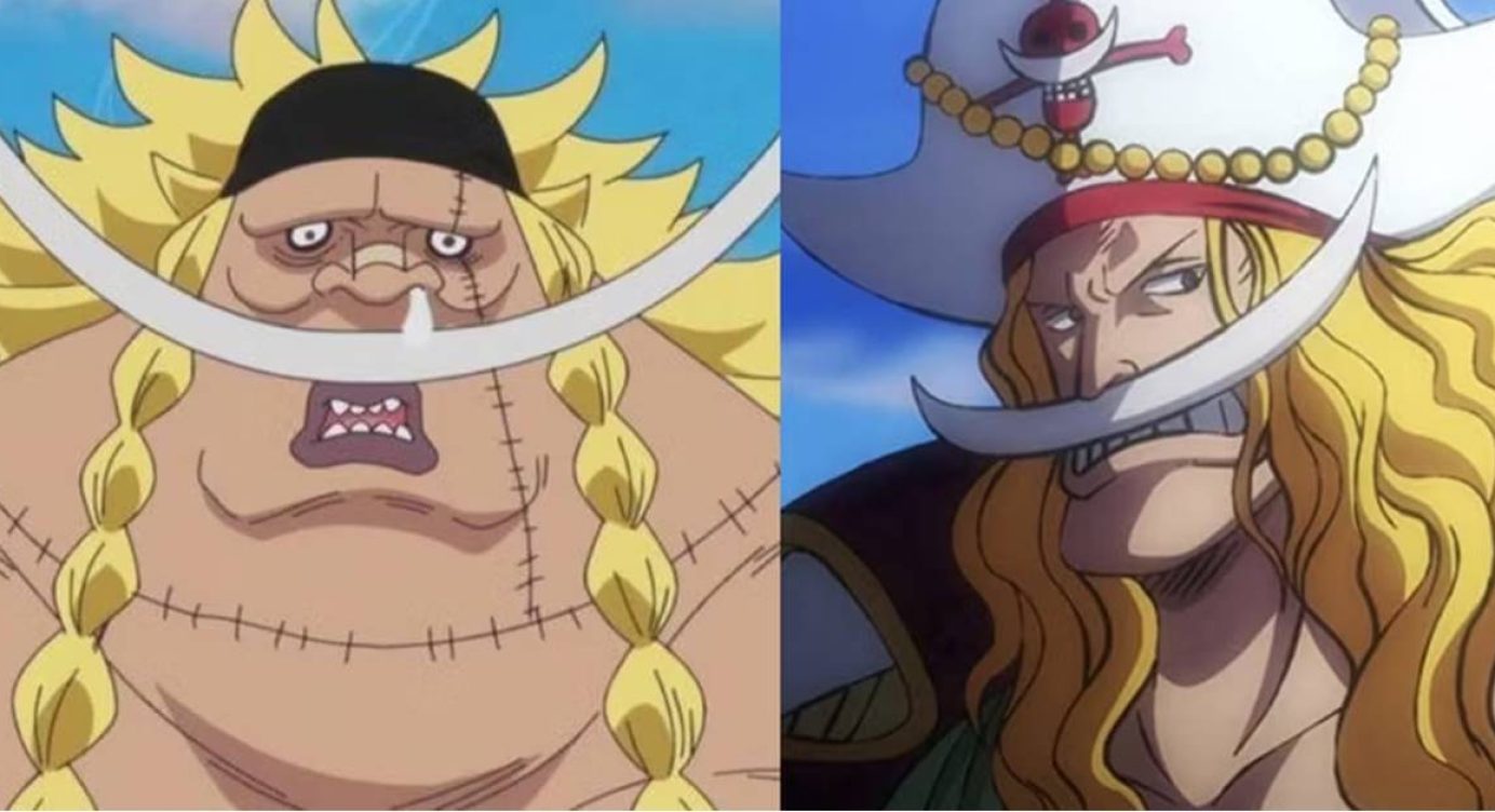 One Piece: Entenda a conexão de Edward Weevil com Barba Branca