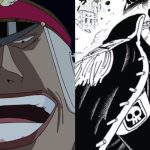Entenda como funciona a Suke Suke no Mi do Shiryu em One Piece - Critical  Hits