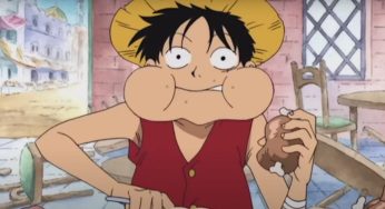 Animadores de One Piece esconderam uma mensagem secreta no anime